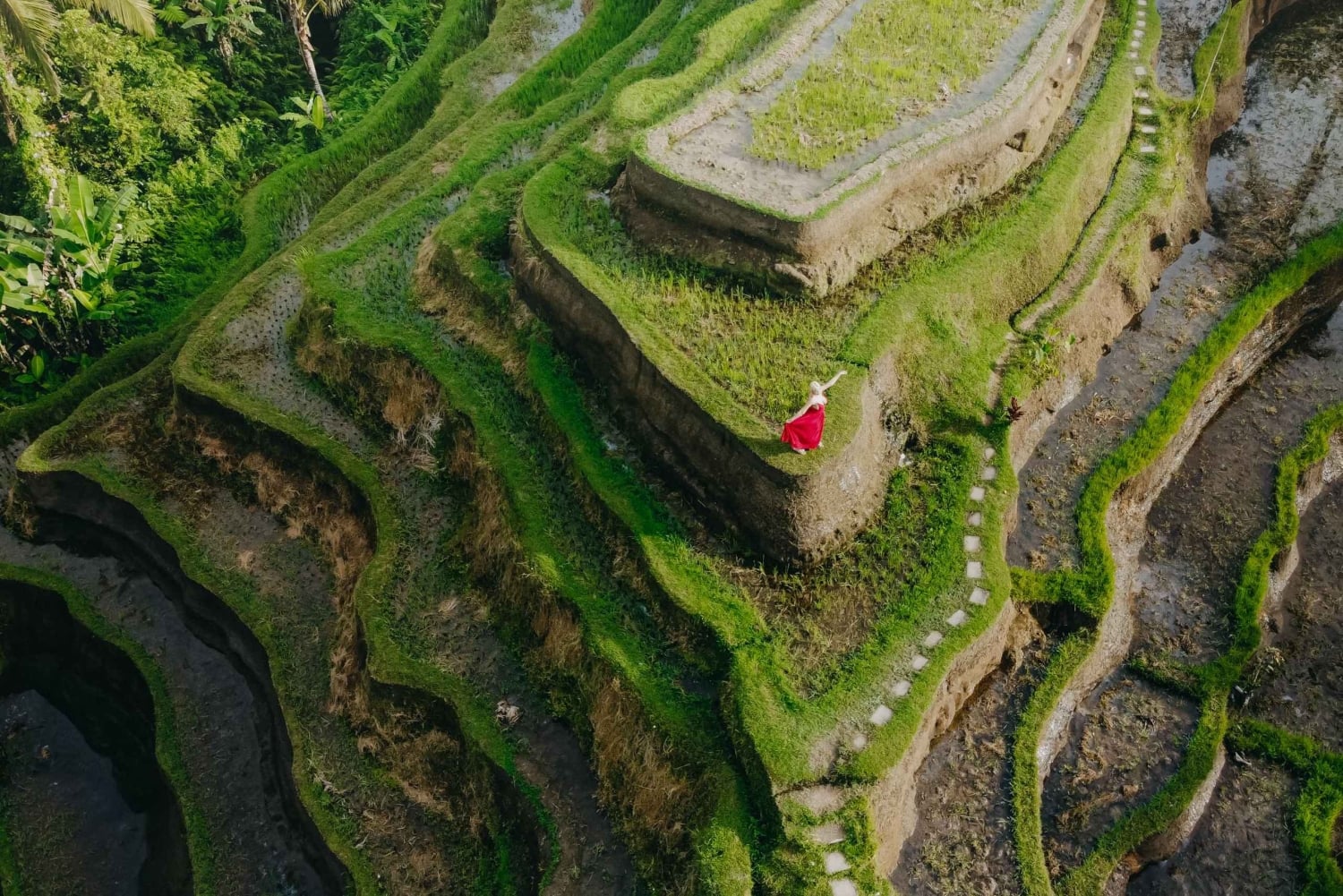 Wanderlust fødselsdagsfoto og -video med drone og redigering