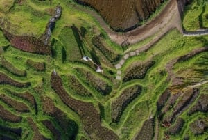 Wanderlust fødselsdagsfoto og -video med drone og redigering