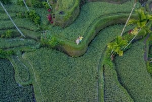 Wanderlust fødselsdagsfoto og -video med drone og redigering