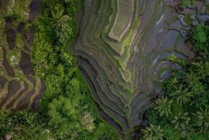 Wanderlust fødselsdagsfoto og -video med drone og redigering