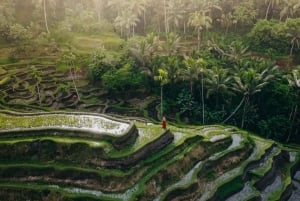 Wanderlust fødselsdagsfoto og -video med drone og redigering