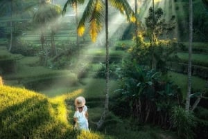Ubud Waterfall, Temple, Rice Terraces & Monkey Forest Tour