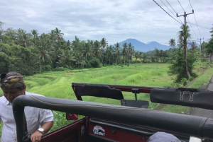 West Bali: Discover the Untouched by VW Cabrio Jeep