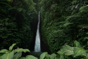 West Bali: Jatiluwih Rice Terrace and Tanah Lot Sunset Tour