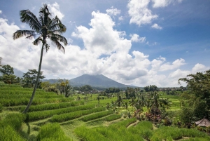 West Bali: Jatiluwih Rice Terrace and Tanah Lot Sunset Tour