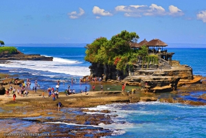 West Bali: Jatiluwih Rice Terrace and Tanah Lot Sunset Tour