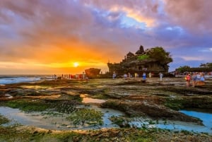 West Bali: Jatiluwih Rice Terrace and Tanah Lot Sunset Tour