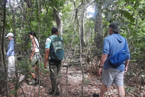 West Bali: Jungle Trekking in Bali Barat National Park