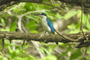 West Bali: Jungle Trekking in Bali Barat National Park