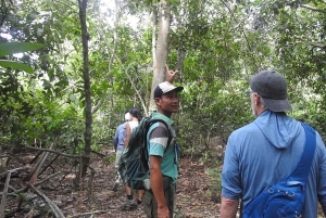 West Bali: Jungle Trekking in Bali Barat National Park