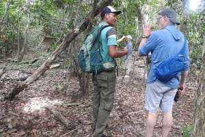 West Bali: Jungle Trekking in Bali Barat National Park