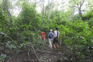 West Bali: Jungle Trekking in Bali Barat National Park