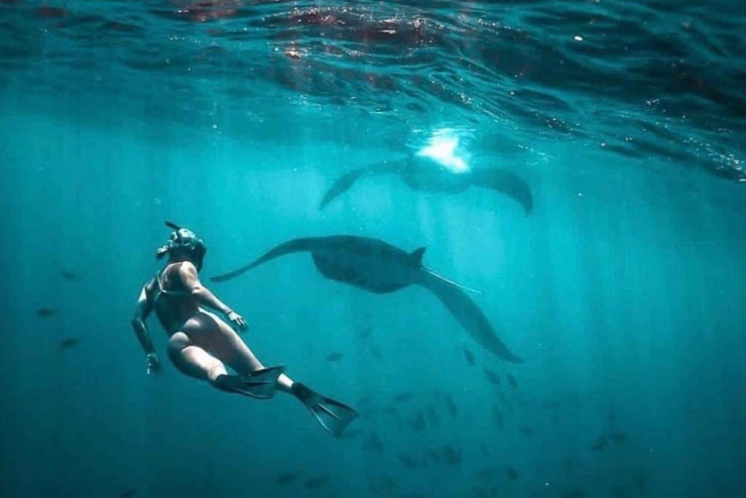 De Bali/Pênida: Safári de mergulho com snorkel em três ilhas