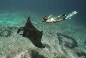 From Bali/Penida: Three Island Snorkeling Safari Trip