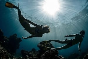 De Bali/Pênida: Safári de mergulho com snorkel em três ilhas