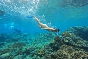 Fra Bali/Penida: Snorkelsafari på tre øyer