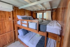 Wonderful Komodo National Park 2-Day Boat Tour