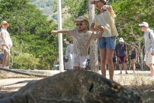 Wonderful Komodo National Park 2-Day Boat Tour