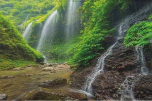 Yogyakarta: Bromo, Madakaripura, & Ijen Sharing Tour to Bali