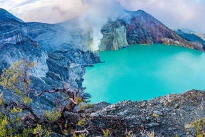 Yogyakarta, Surabaya or Malang: Tumpak Sewu, Bromo Ijen Tour