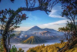 Yogyakarta : Tumpak sewu waterfall,Bromo and Ijen vulcano