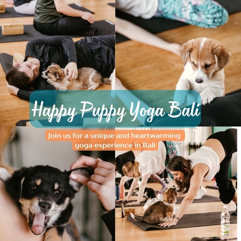 Happy Puppy Yoga - Uluwatu at The Space Bali