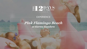 12 Days of Karma - Pink Flamingo Beach