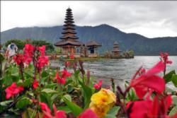 Hindu Festivals & Temple Ceremonies