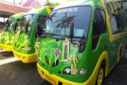 Kura Kura Buses