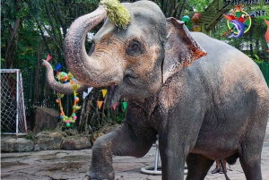 Bangkok & Safari World, Hotel and Private Transfer