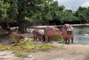 Bangkok & Safari World, Hotel and Private Transfer
