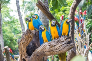 Bangkok & Safari World, Hotel and Private Transfer
