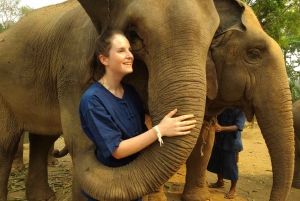 3 experiences: Doi Suthep temple, Sticky falls & Elephants.