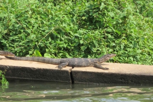 3 timers kanalrundfart og stop ved Big Buddha – guidet rundvisning på engelsk