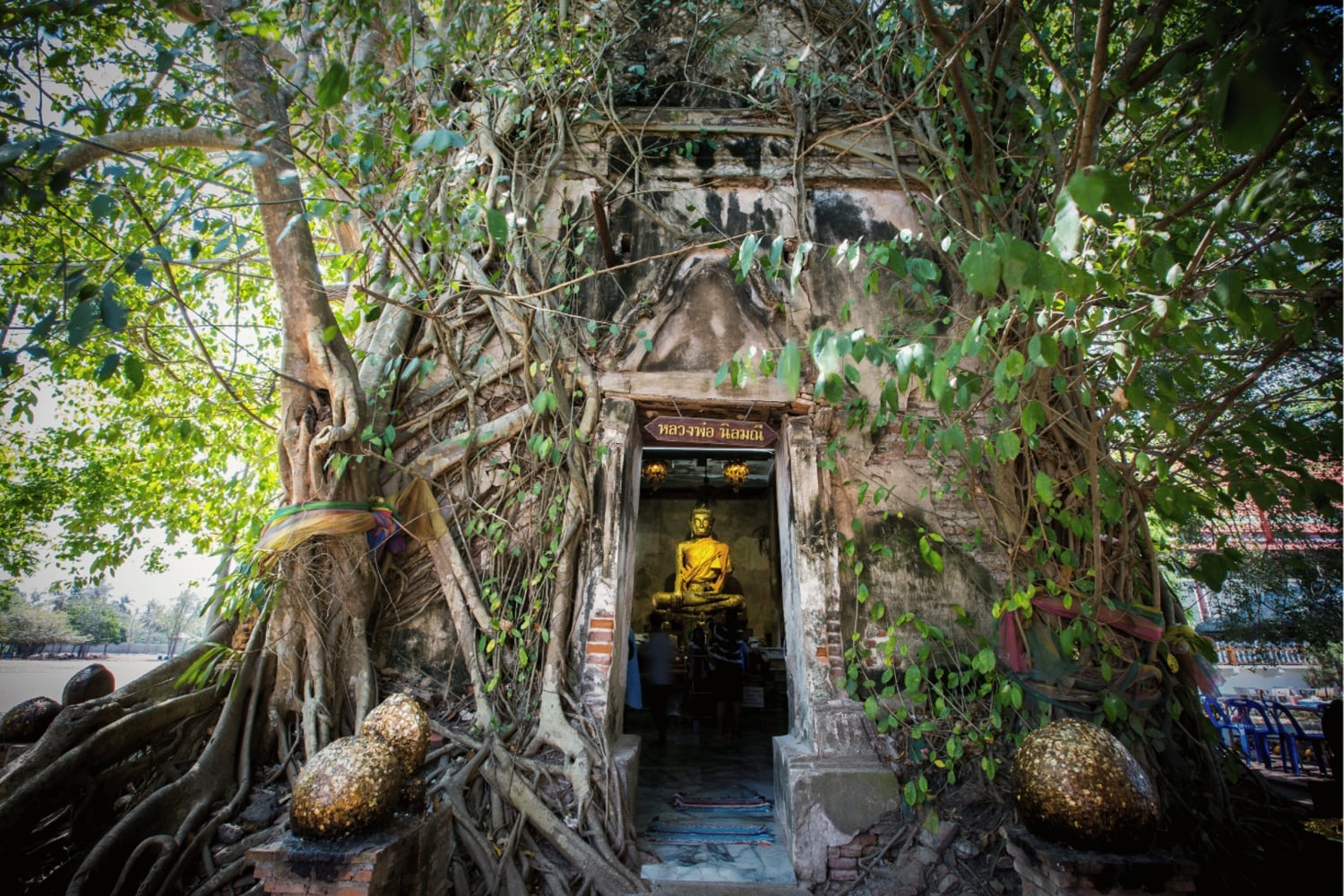 Amphawa & Spoorwegmarkten & Vuurvlieg boottocht: vanuit BKK