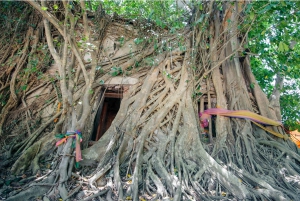 Amphawa & Railway Markets & Firefly Boat Ride: from BKK