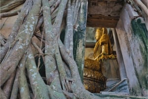 Amphawa & Spoorwegmarkten & Vuurvlieg boottocht: vanuit BKK