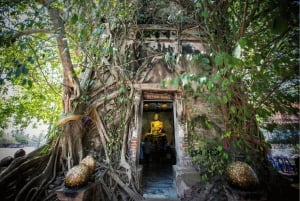 Amphawa & Spoorwegmarkten & Vuurvlieg boottocht: vanuit BKK