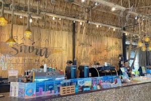 Ayutthaya: Excursión de un día a los Templos y Cafés Patrimonio de la UNESCO