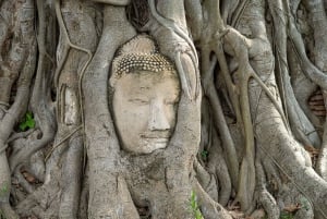 Ayutthaya: Excursión de un día a los Templos y Cafés Patrimonio de la UNESCO