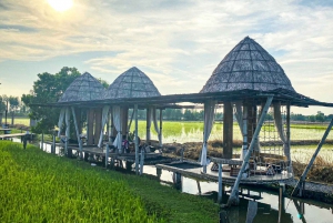 Ayutthaya: Excursión de un día a los Templos y Cafés Patrimonio de la UNESCO