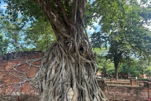 Ayutthaya Full-Day Tour with Bang Pa In (Summer Palace)