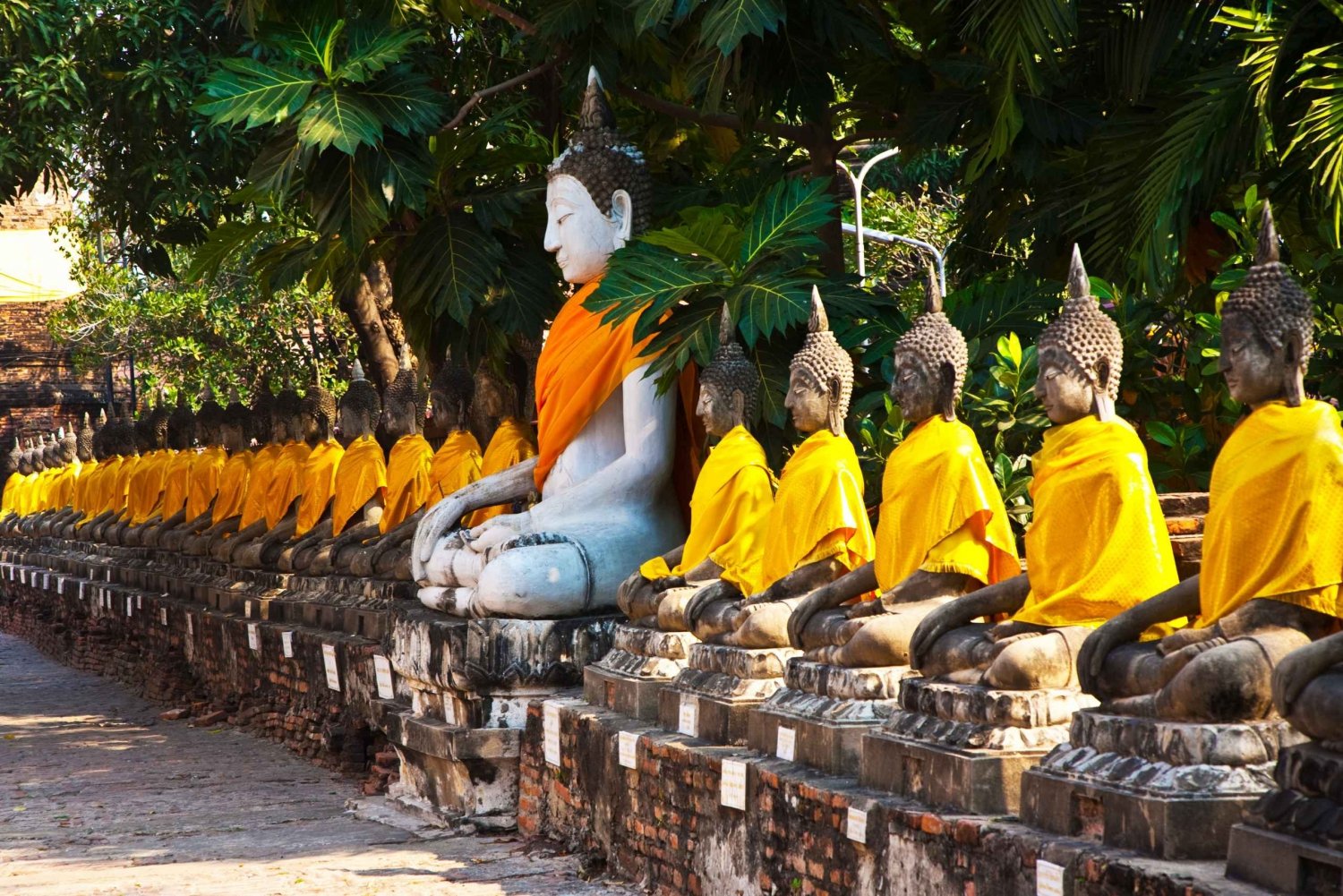 Ayutthaya & Lopburi Monkey Temple Private Day Trip