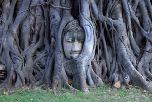 Ayutthaya One Day: Famous Temples & Bang Pa-In Palace Tour