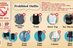 Ayutthaya één dag: Beroemde tempels & Bang Pa-In Paleis Tour