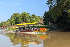 Ayutthaya: Prywatna wycieczka wycieczkowa z opcjonalną wizytą w świątyni