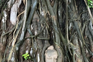 Ayutthayas skjulte perler med bil og lokal guide (lille gruppe)