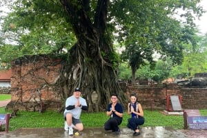 Ayutthayas skjulte perler med bil og lokal guide (lille gruppe)