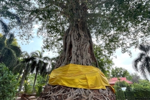 Ayutthayas skjulte perler med bil og lokal guide (lille gruppe)