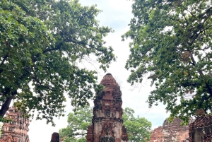 Ayutthayas skjulte perler med bil og lokal guide (lille gruppe)